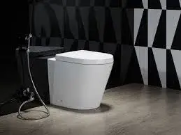 Floor_Mounted_Toilets3[1]-446784-11791.webp